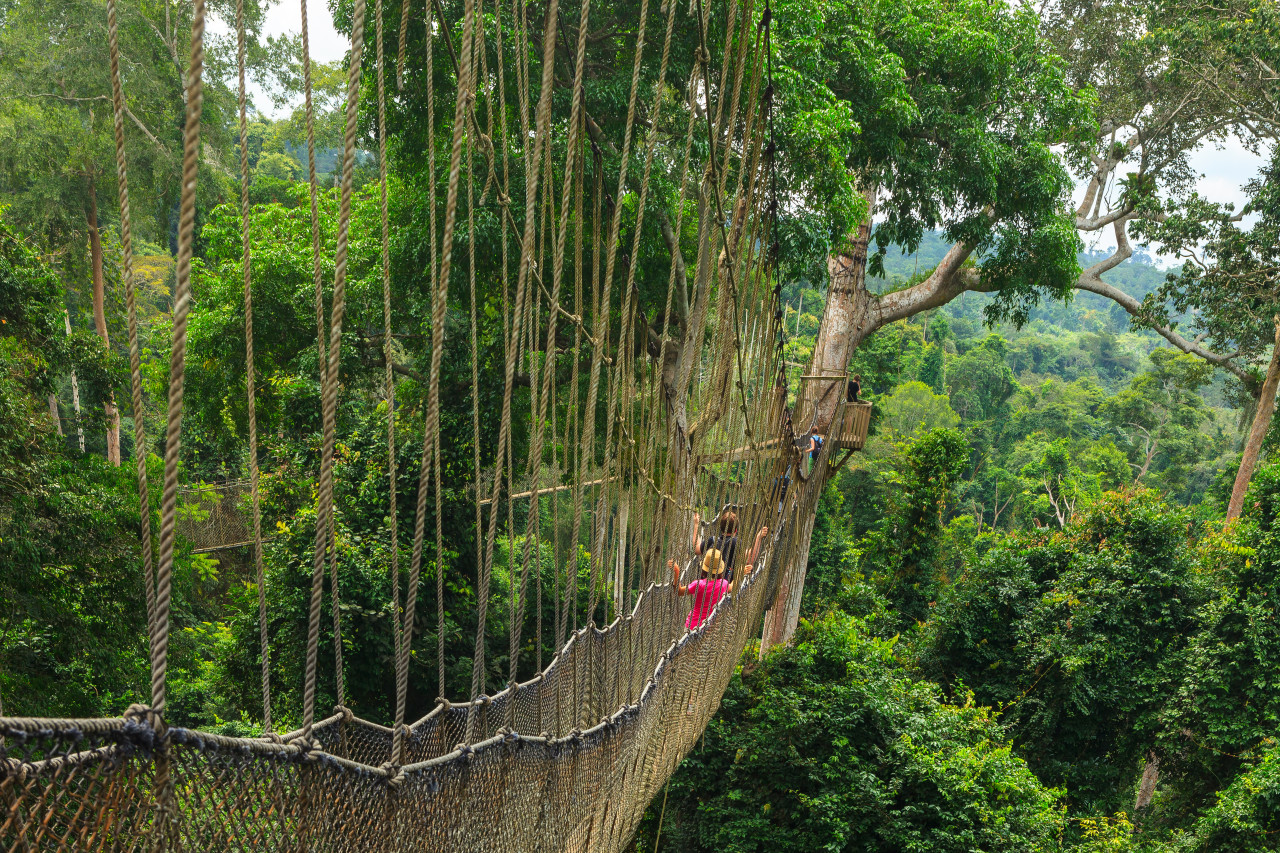 Kakum National Park.