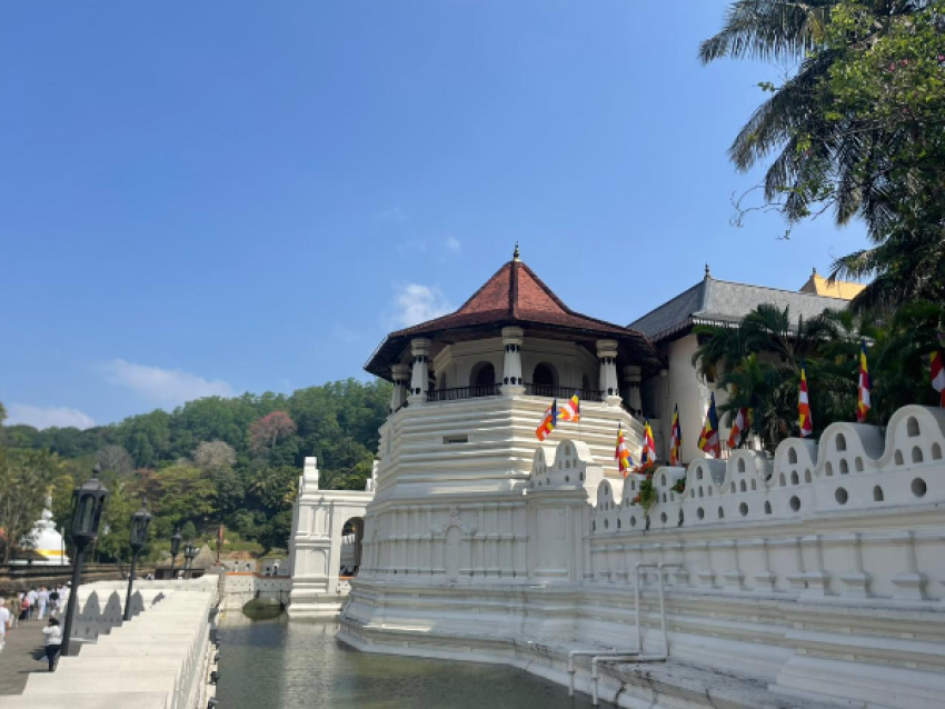 坎迪