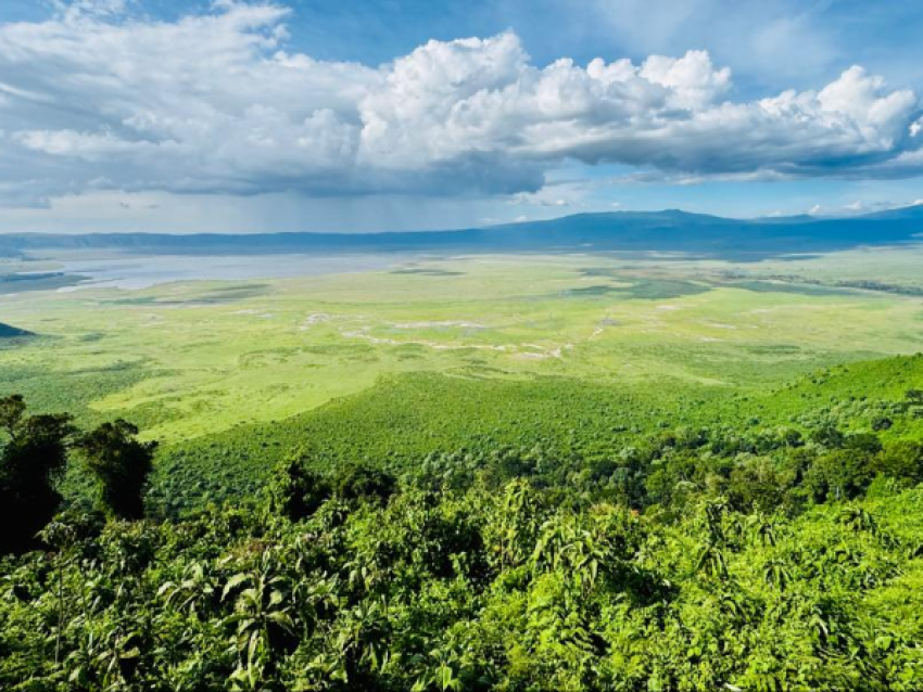 NGORONGORO