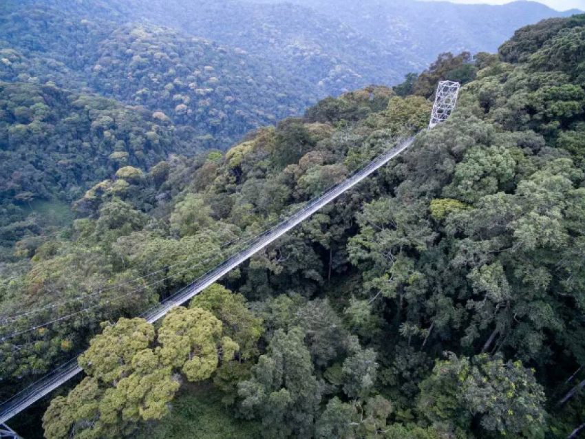 天桥