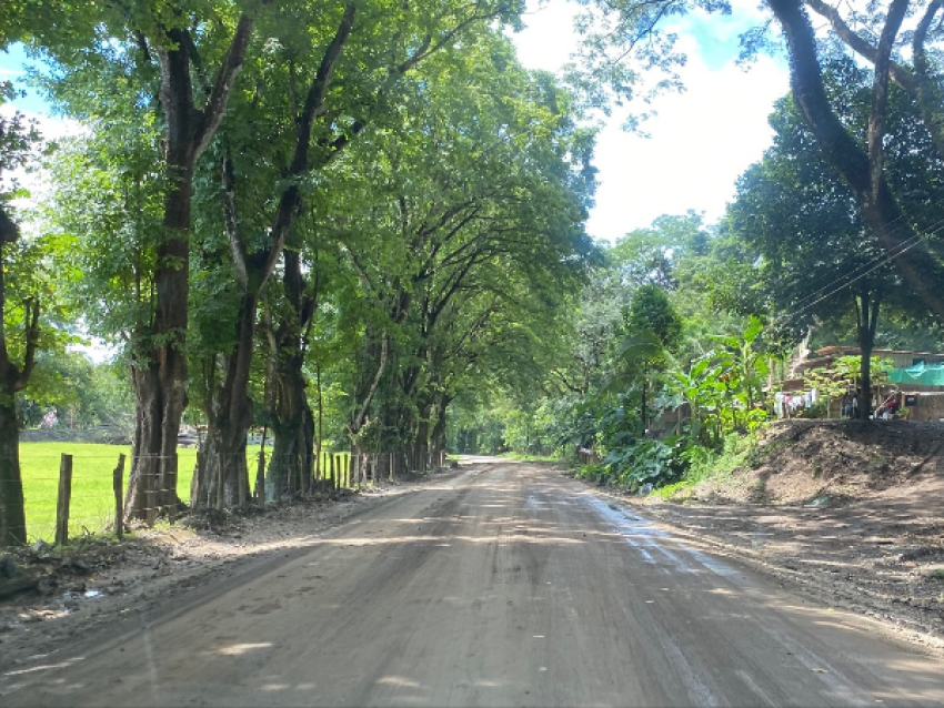 半岛公路