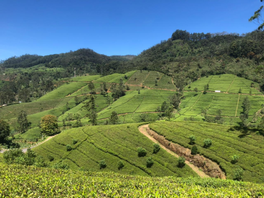 haputhale
